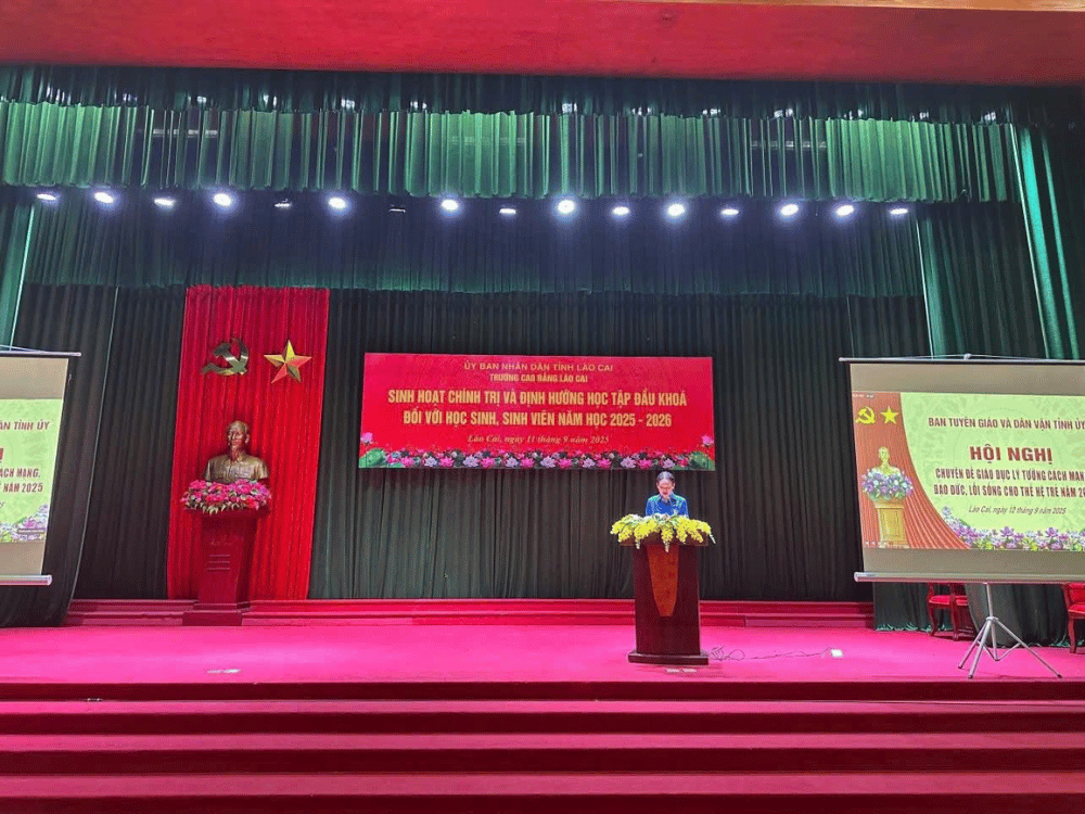 Vị trí, chức năng