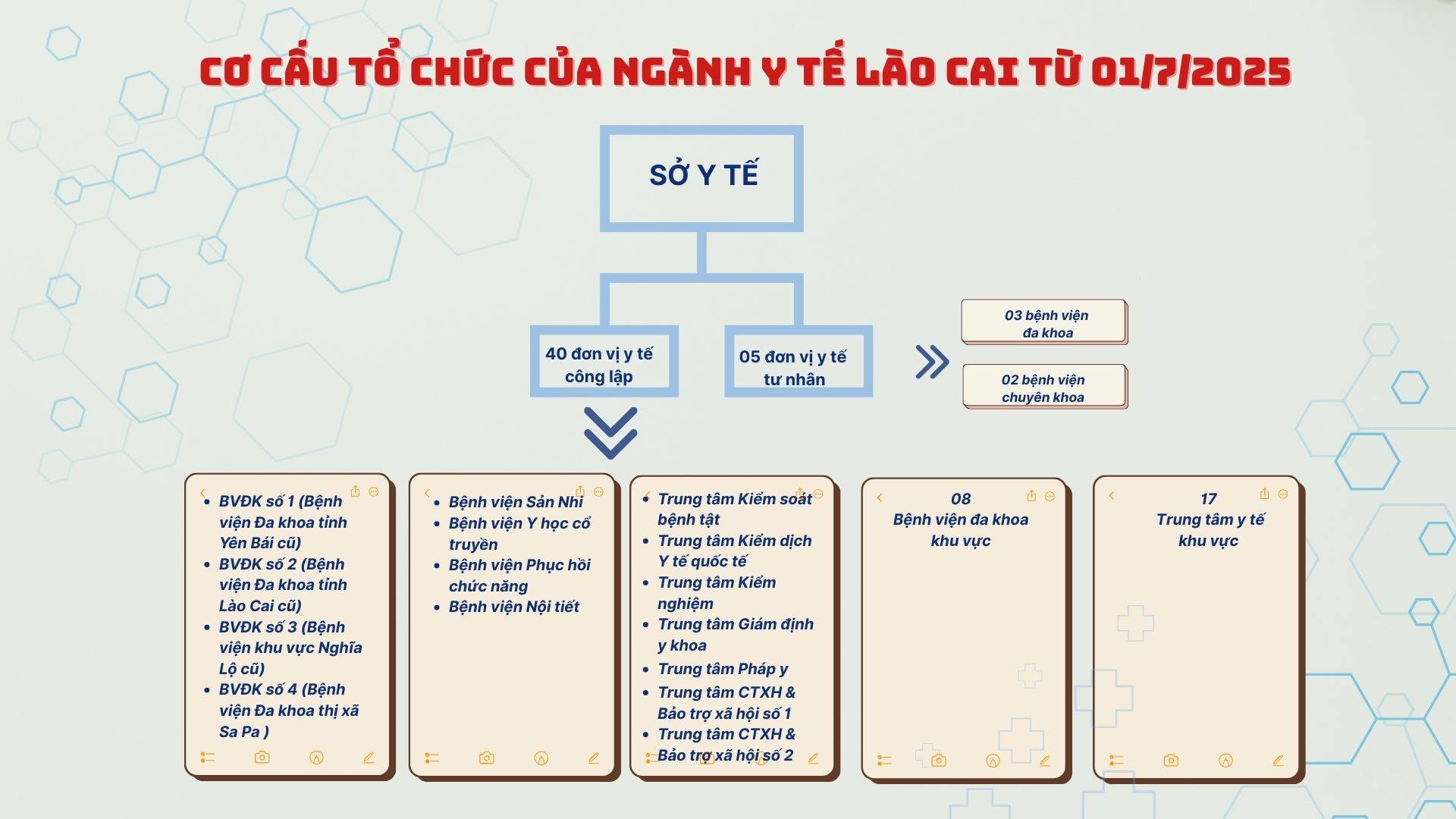 Cơ cấu tổ chức