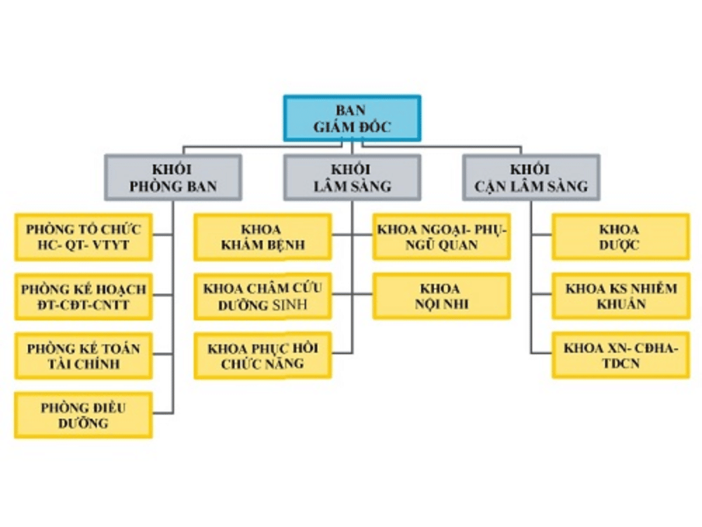 Cơ cấu tổ chức