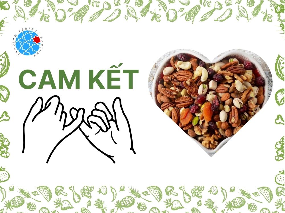 4. Cam kết của công ty