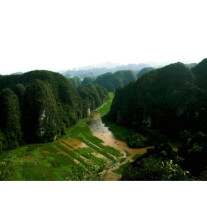 Lĩnh vực kinh doanh