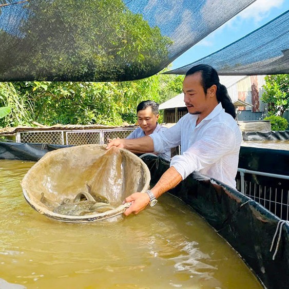 Dự Án Khởi Nghiệp Cá Chạch Lấu Trong Vườn Xoài