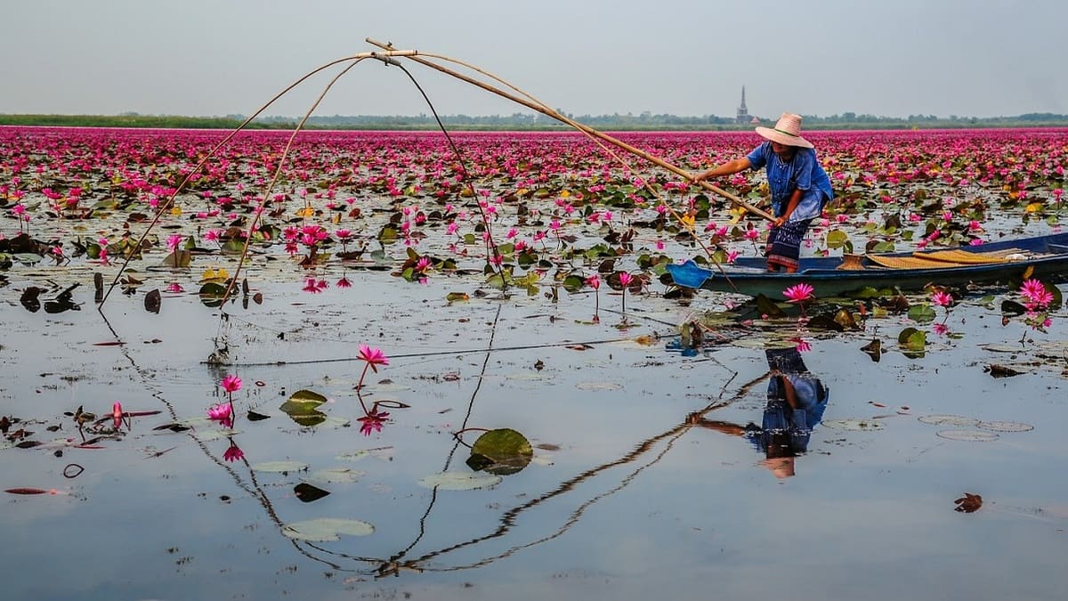 Điều kiện tự nhiên và khí hậu