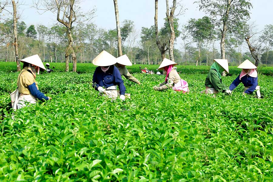 Kinh tế và Xã hội Đa Dân tộc