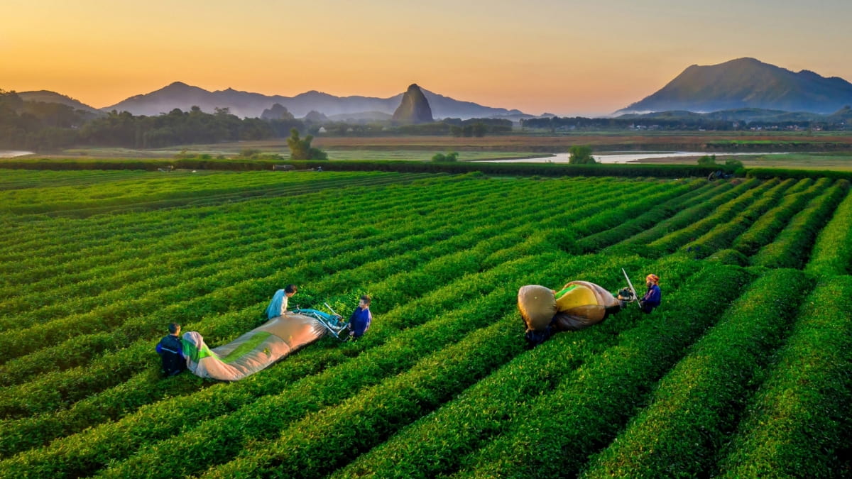 Kinh tế bứt phá và tầm nhìn công nghiệp