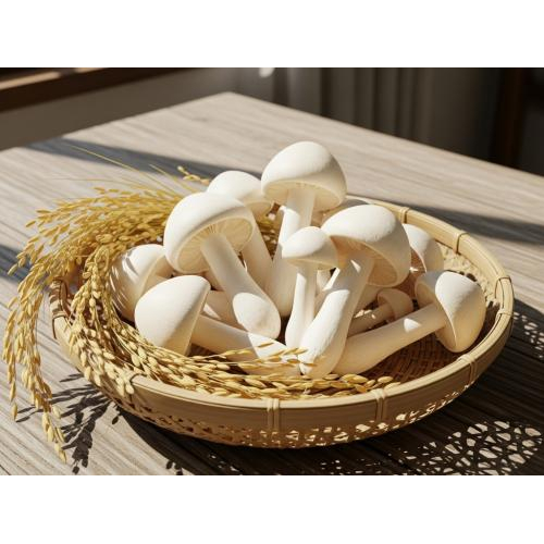 Bánh Phồng Nấm Rơm Tài Phát 100g – Đặc Sản An Giang