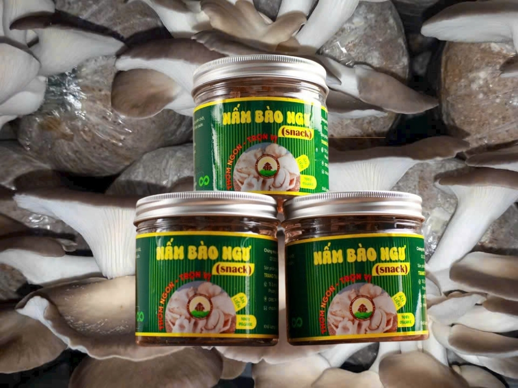 Hướng dẫn sử dụng & bảo quản