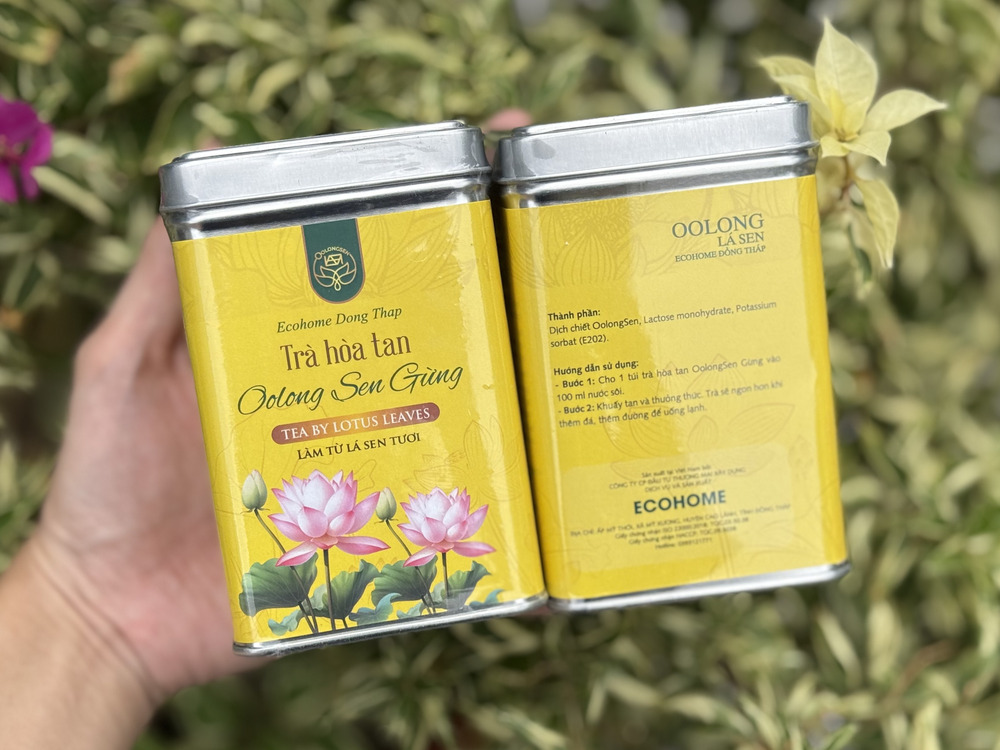 Trà Oolongsen Gừng có tác dụng gì đối với sức khỏe