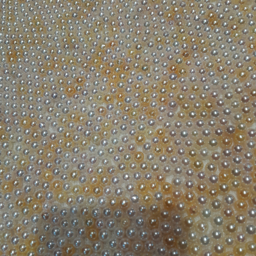 Ngọc Trai Nước Mặn Akoya (Thô) - Size 6mm - 7mm