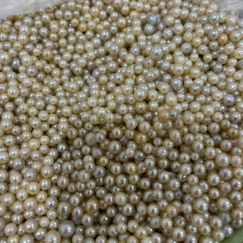 Ngọc Trai Nước Mặn Akoya (Thô) - Size 2mm - 10 mm