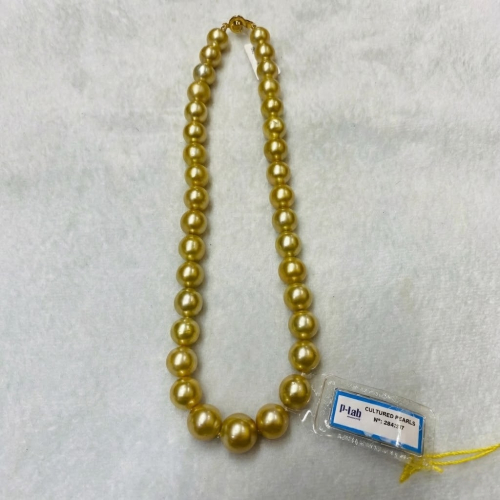 Ngọc Trai Nước Mặn SouthSea (Chuỗi Cổ)