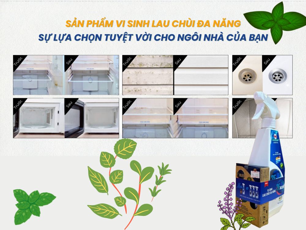 3. Phạm vi ứng dụng