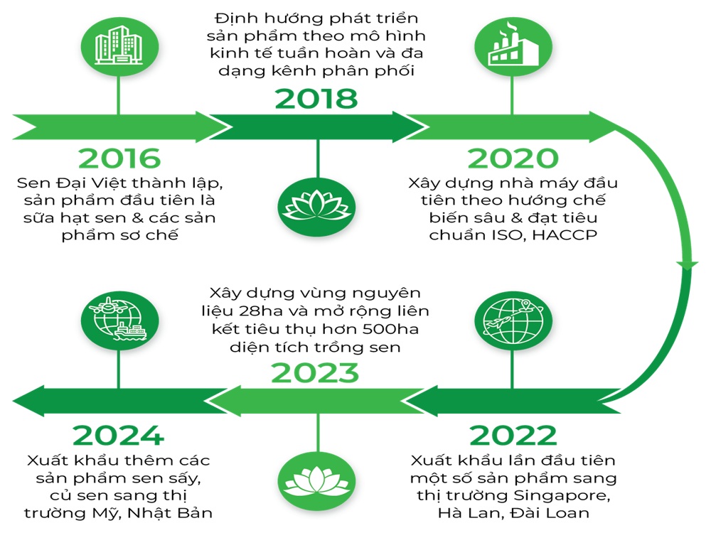 3. Quá trình phát triển