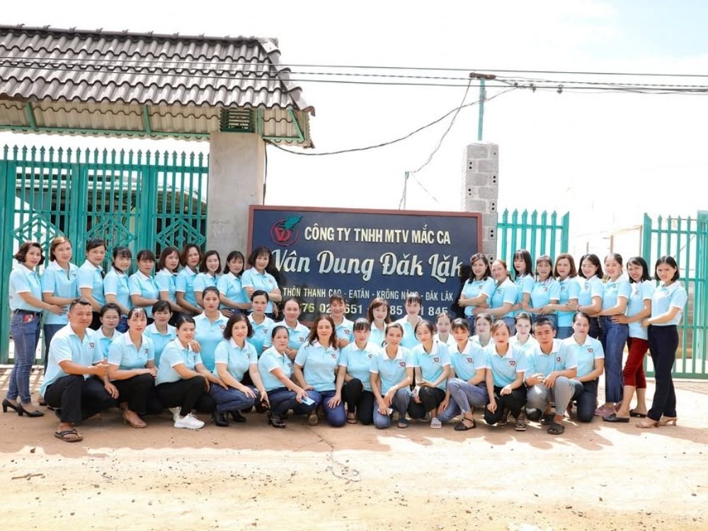 1. Giới thiệu chung