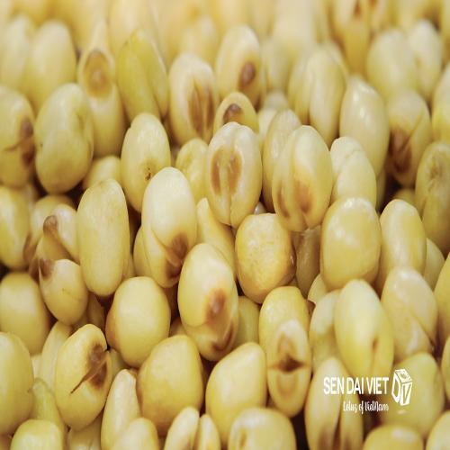 Hạt sen sấy