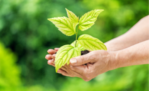 Sứ mệnh vì triệu người Việt Nam hạnh phúc hơn mỗi ngày!