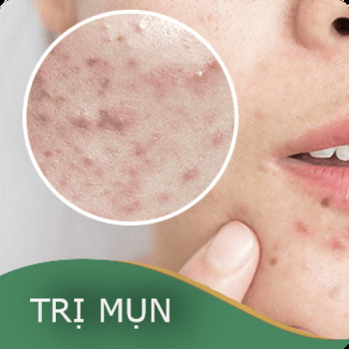 Lĩnh vực hoạt động