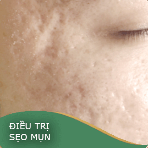 Lĩnh vực hoạt động