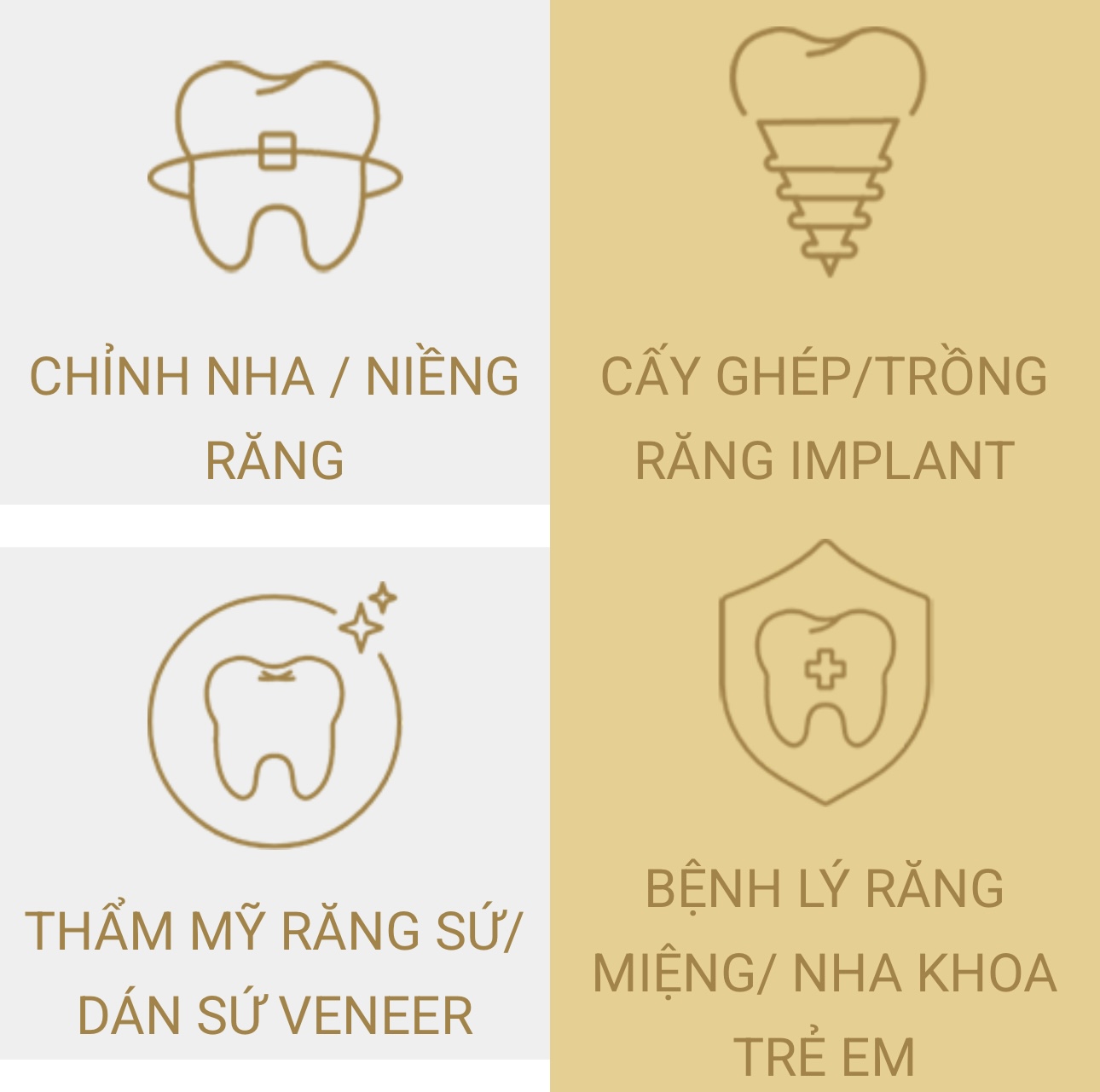 Các dịch vụ tại Miso Dental