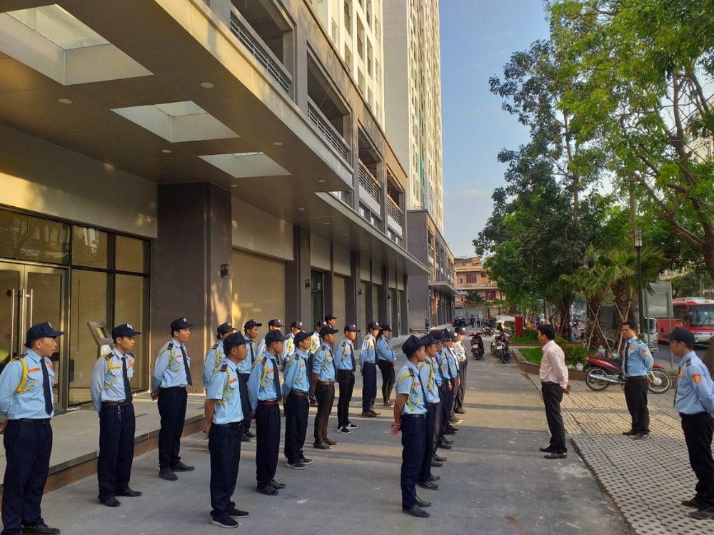 Quá trình hình thành và phát triển