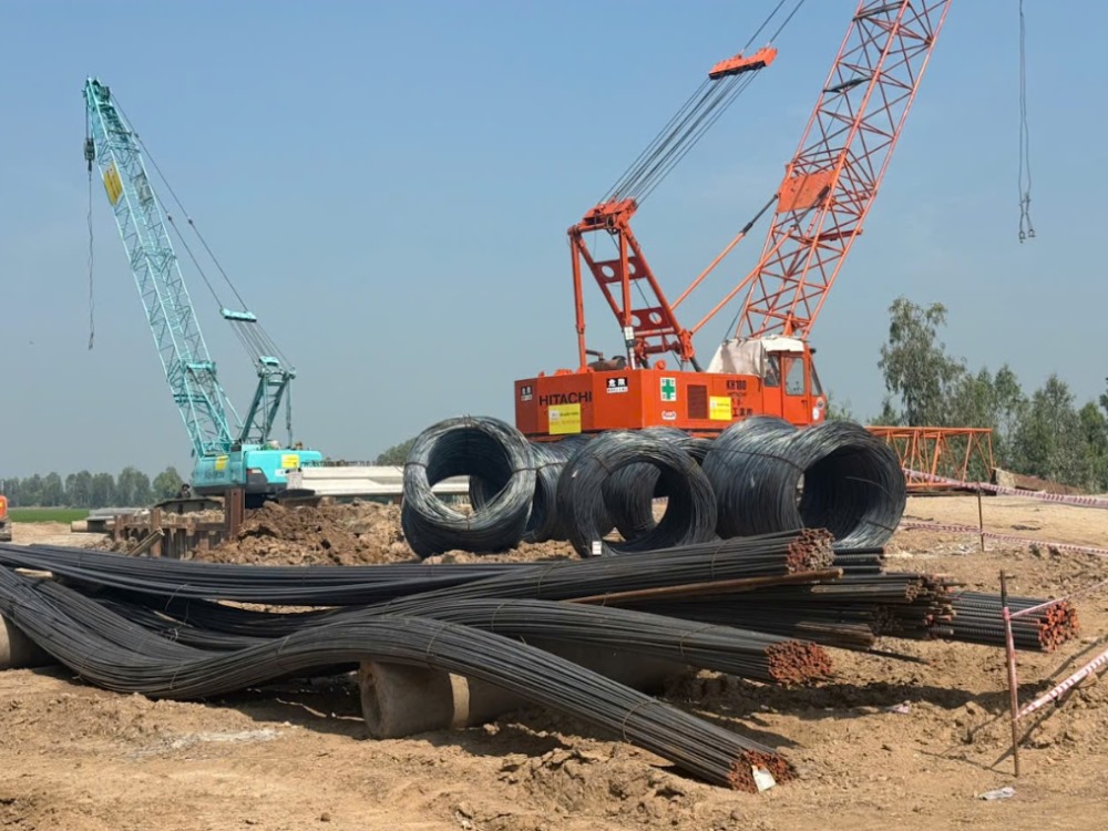 Lĩnh vực hoạt động