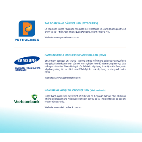 3. Các cổ đông chính