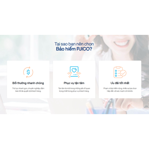 II. Tại sao bạn nên chọn Bảo hiểm PJICO?