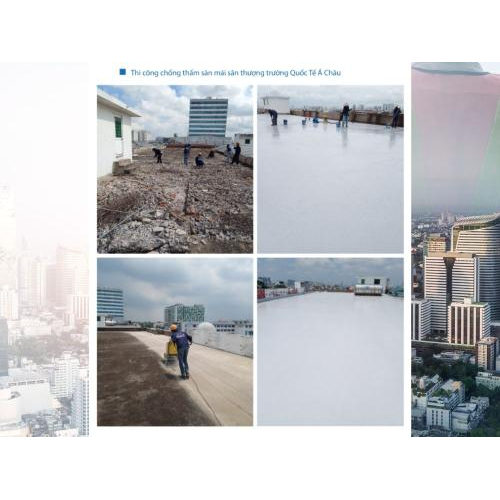 2. Các dự án nổi bật