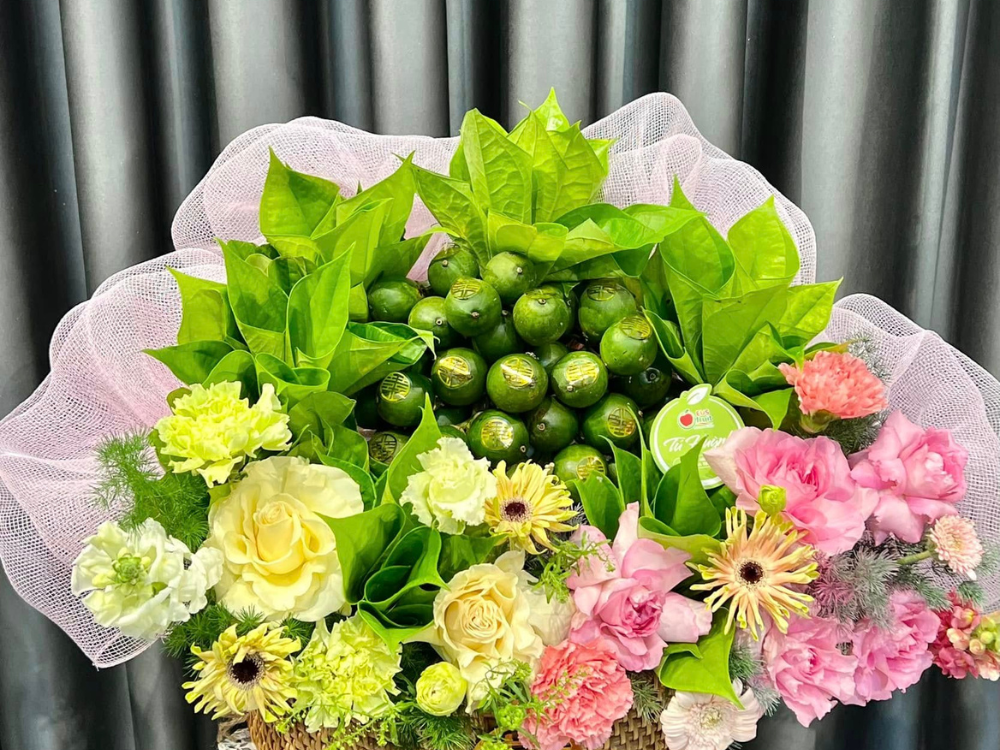 Giới thiệu sản phẩm