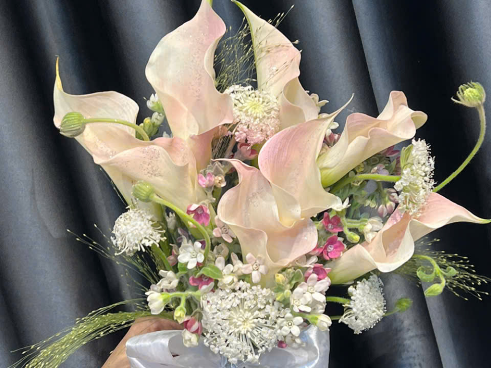 Giới thiệu sản phẩm