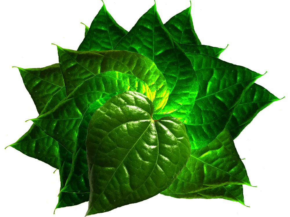 Ý nghĩa của mâm trầu cau