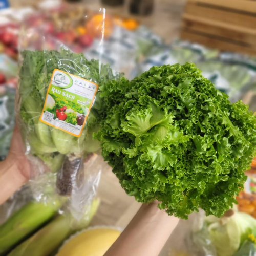 Xà Lách Thuỷ Tinh Thuỷ Canh