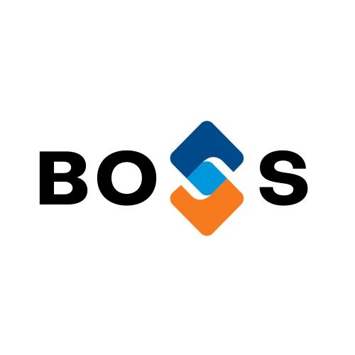 Hệ Thống Đại Lý Boss