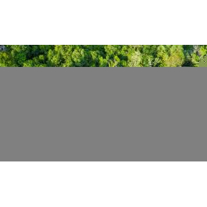 Khu Nghĩ Dưỡng Eo Xoài - Mango Bay Resort