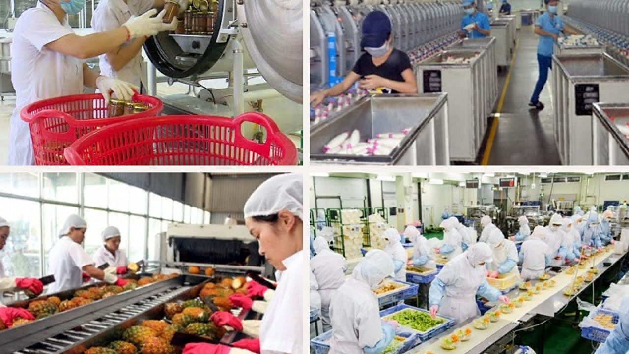 Kinh tế và xã hội