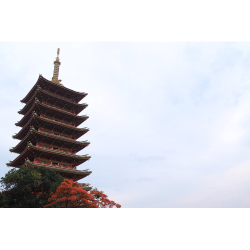 Văn hóa và du lịch