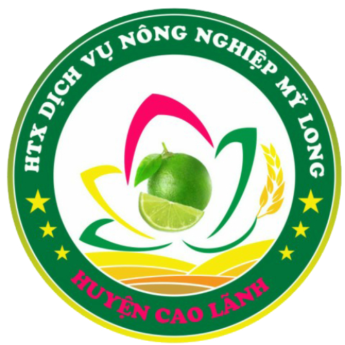 Bộ Giấy Tờ - Chứng Nhận Sản Phẩm HTX Dịch Vụ Nông Nghiệp Mỹ Long - Cao Lãnh