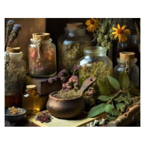 4. Hướng dẫn sử dụng