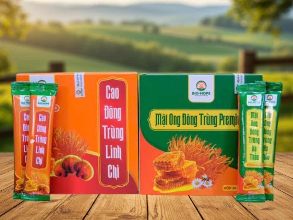 Hướng dẫn sử dụng