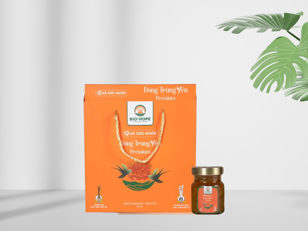 Hướng dẫn sử dụng