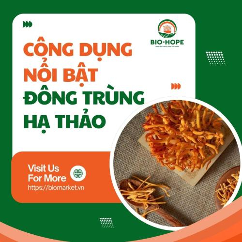 Các Công Dụng Nổi Bật Của Đông Trùng Hạ Thảo Bio Hope