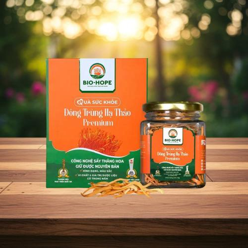 Đông Trùng Hạ Thảo Và Công Dụng Ngăn Ngừa Ung Thư