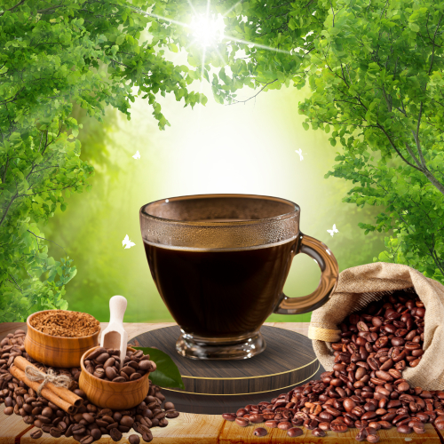 Uống Cà Phê Đúng Cách: Bí Quyết Đốt Cháy Mỡ Thừa Hiệu Quả