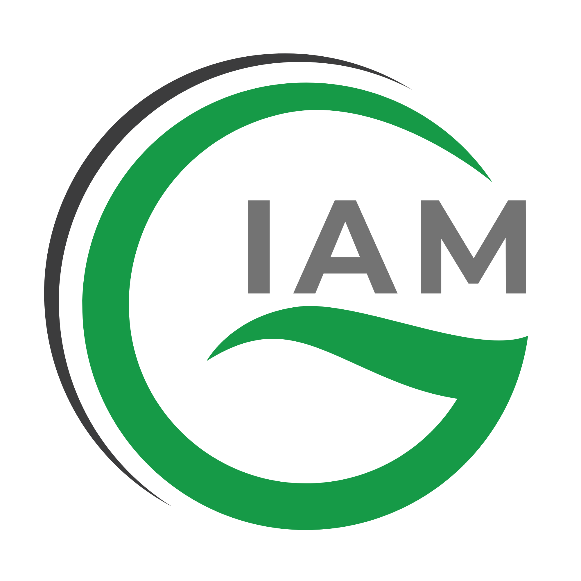 IAM GROUP