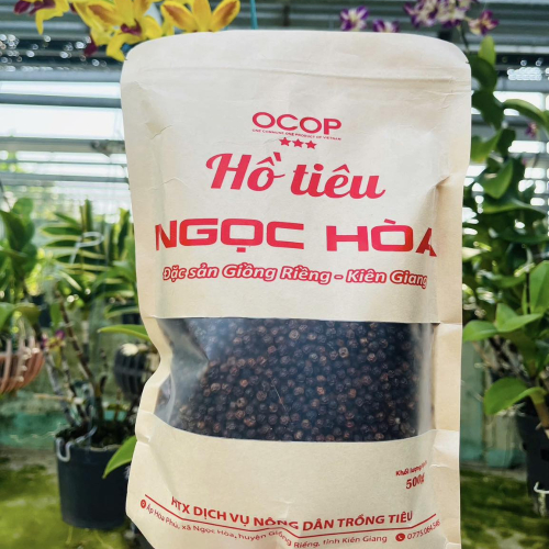 Hồ Tiêu Ngọc Hòa