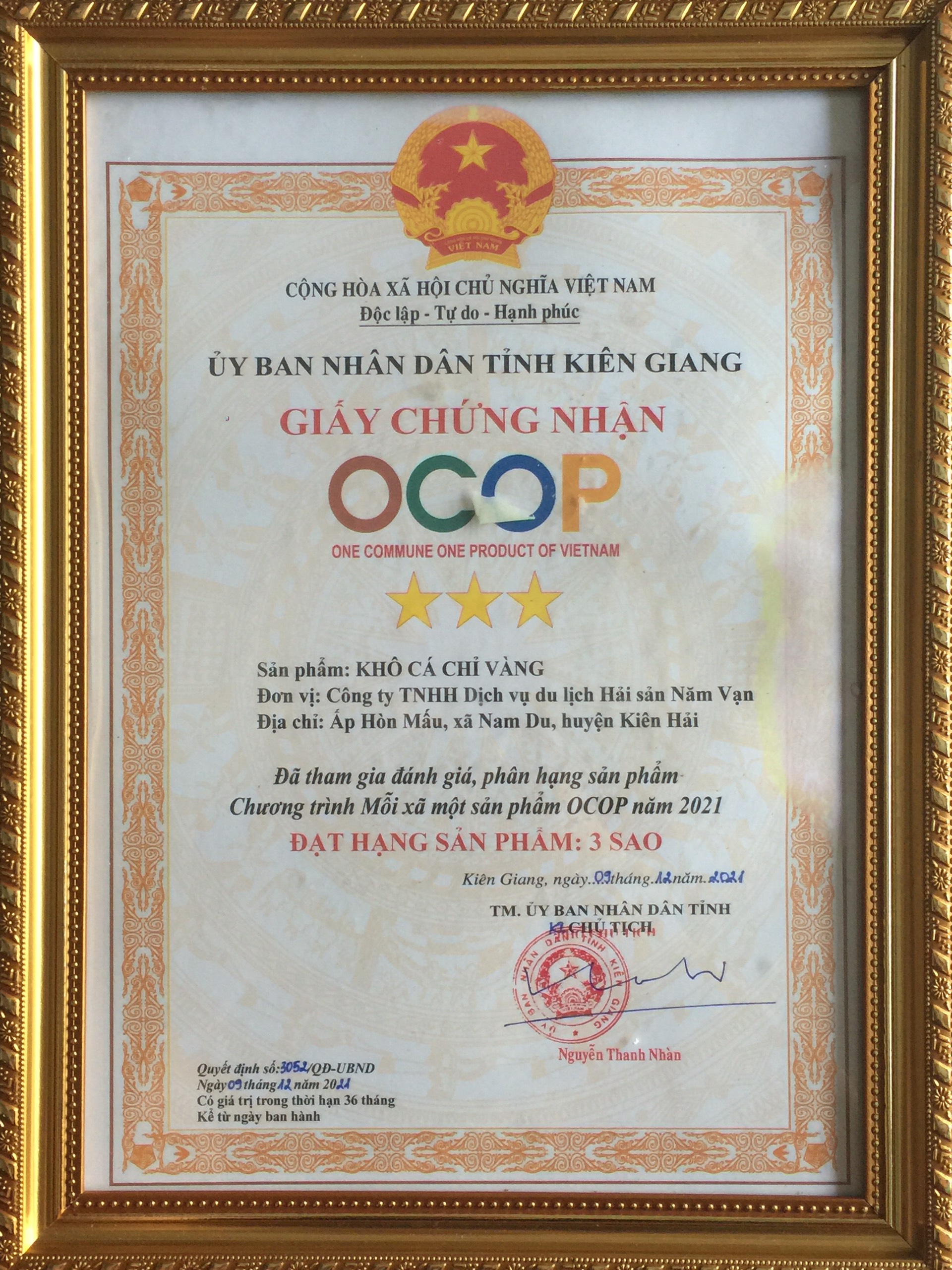 Các loại giấy phép