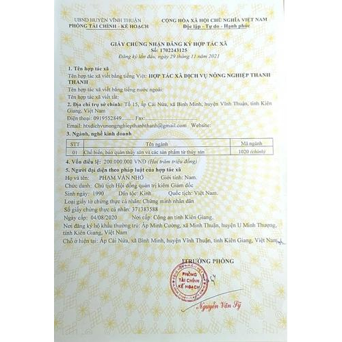 Các loại giấy phép