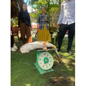 Thưởng thức món ăn từ thành quả câu cá của bạn