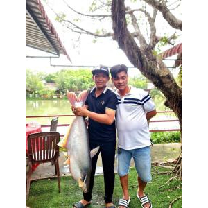 Thưởng thức món ăn từ thành quả câu cá của bạn