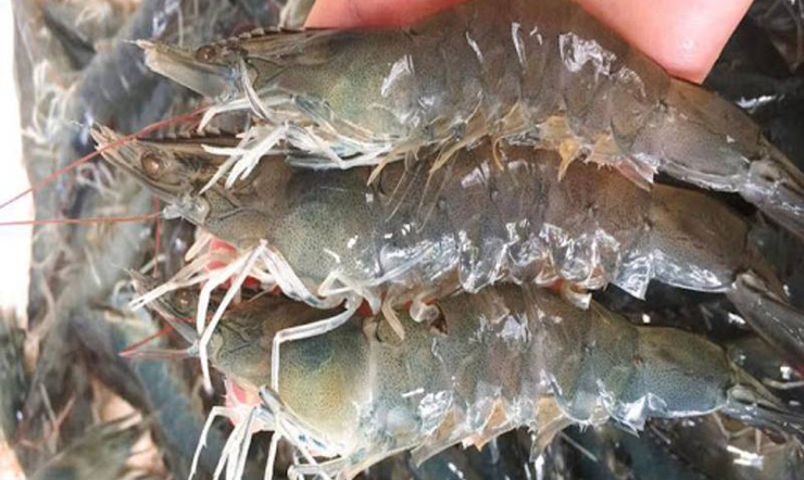 Một số nhận xét của khách hàng